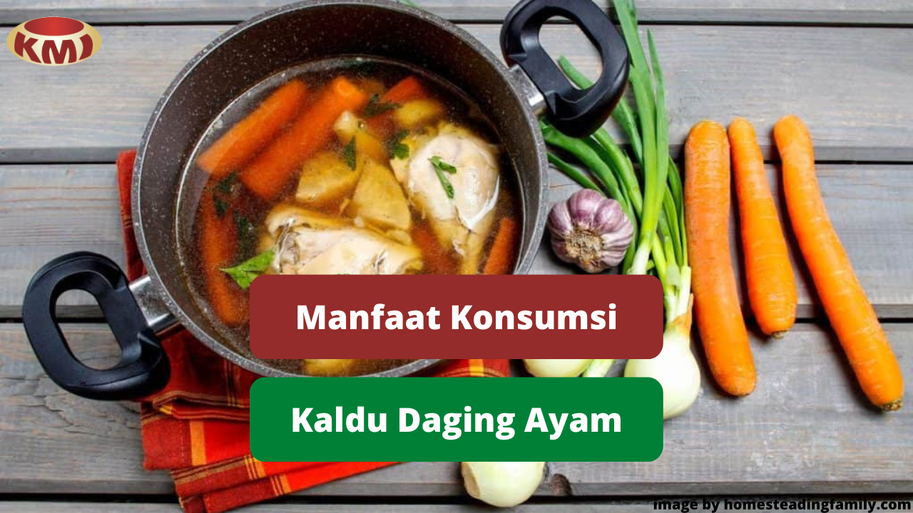 Berikut Ini 5 Manfaat Kesehatan Konsumsi Kaldu Ayam